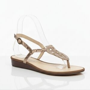 Talbots Snakeskin Leather T-Strap Wedge Sandals Size 6B Brazil Slingback Celtic